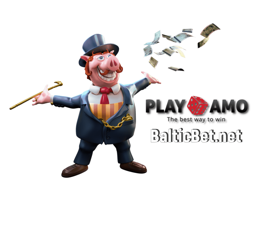 BalticBet.net and Playamo Casino is on photo.